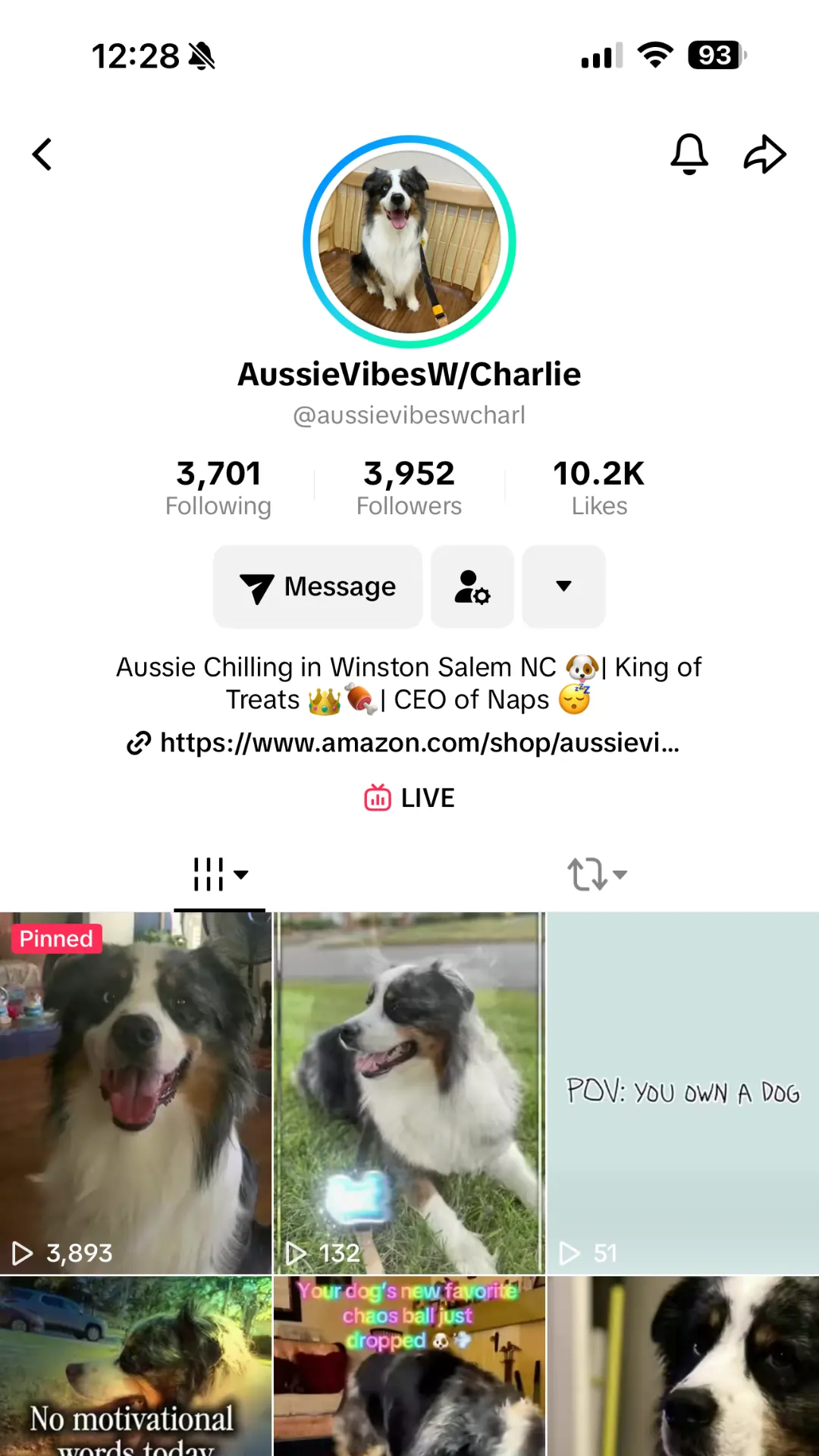 Aussie Vibes with Charlie - TikTok Creator