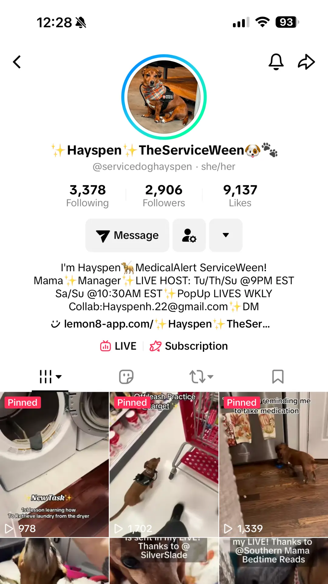 Hayspen - TikTok Creator