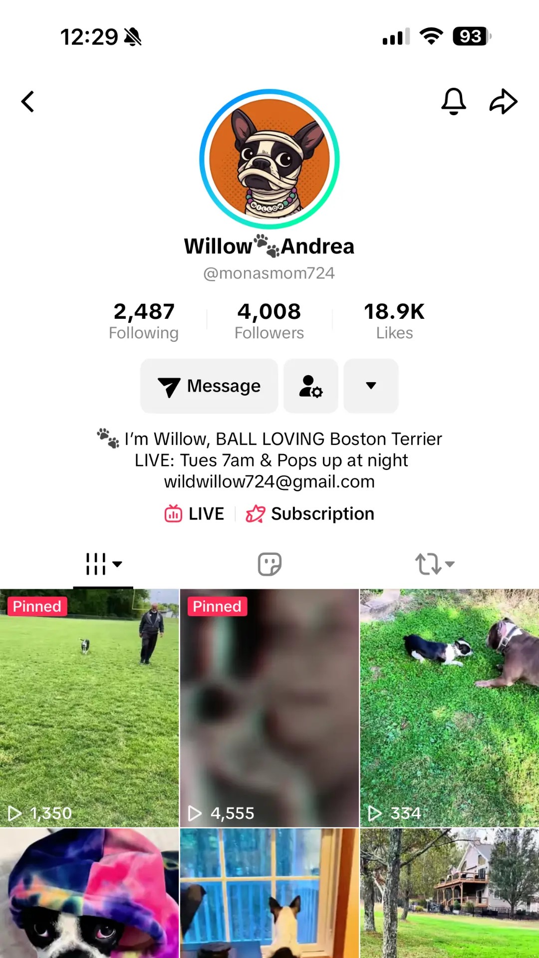 Willow & Andrea - TikTok Creator