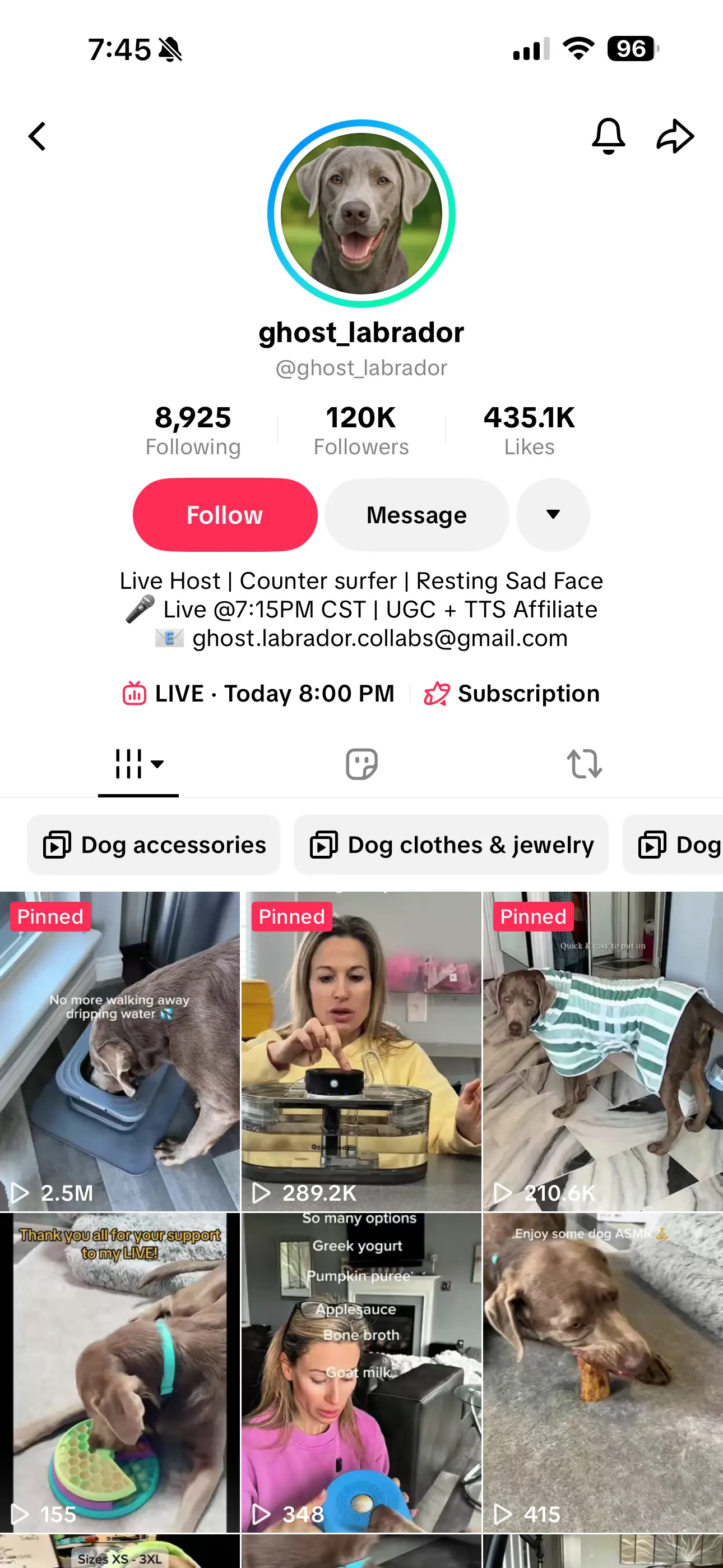 Ghost Labrador - TikTok Creator